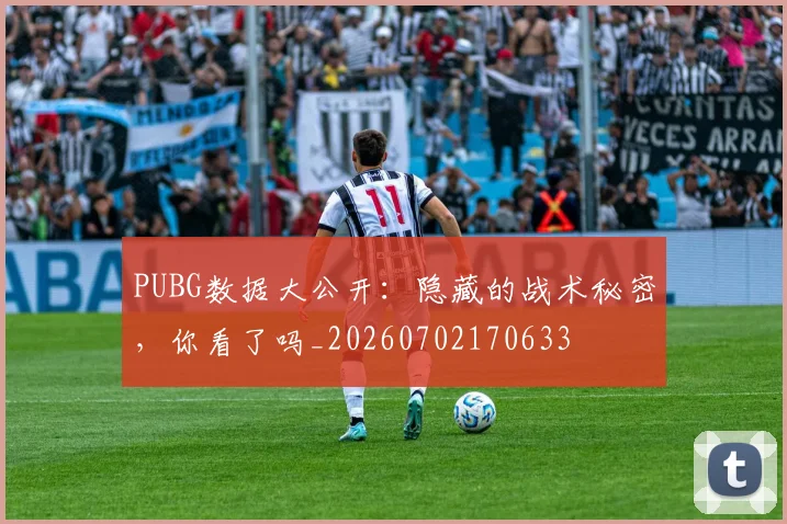 PUBG数据大公开：隐藏的战术秘密，你看了吗_20260702170633